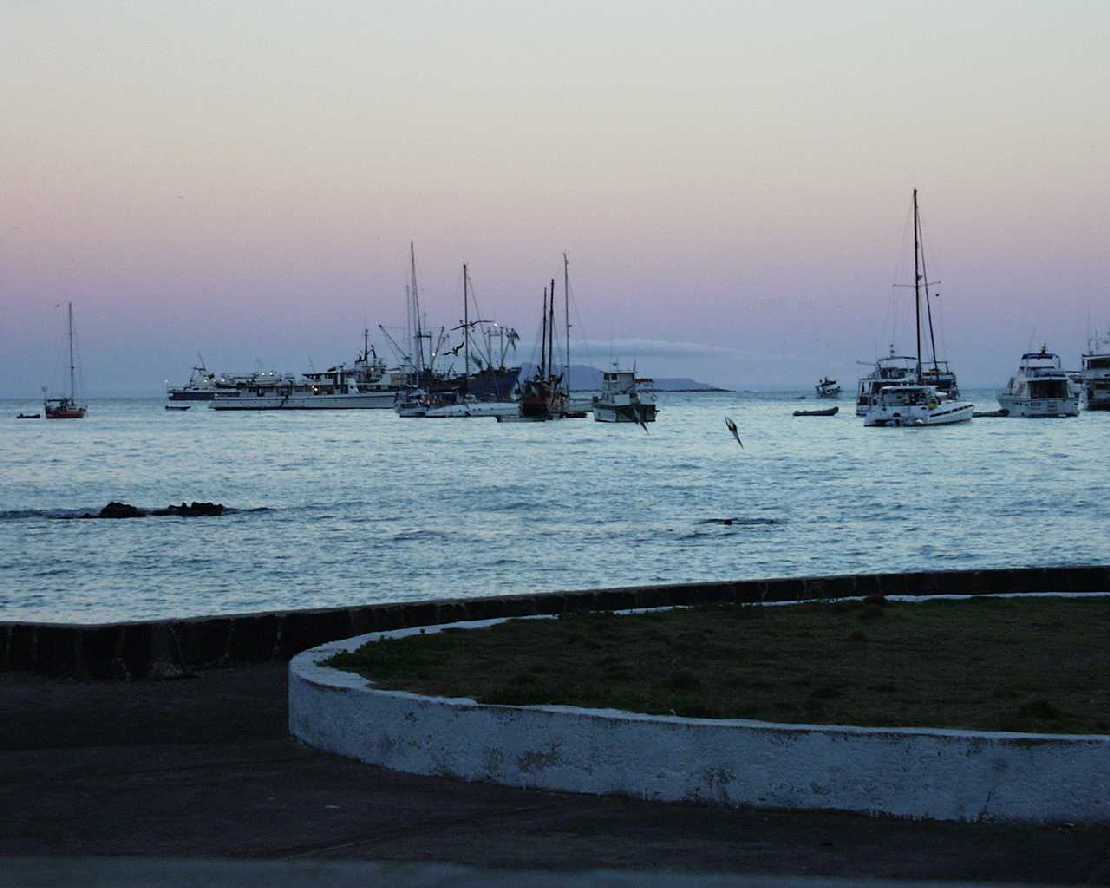 Galapagos Puerto Ayora auf Santa Cruz, Versorgungs- und Touristenschiffe in der Bucht.