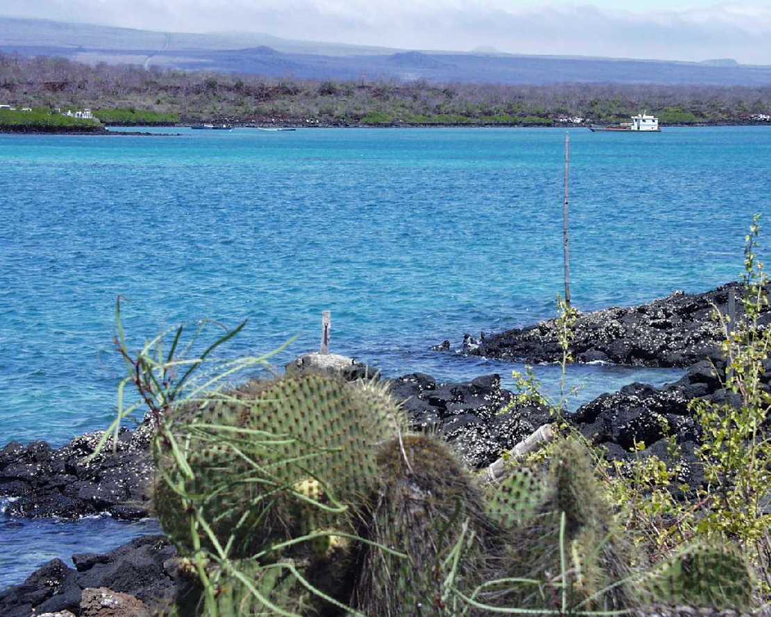 Galapagos Fhre Santa Cruz nach Baltra
